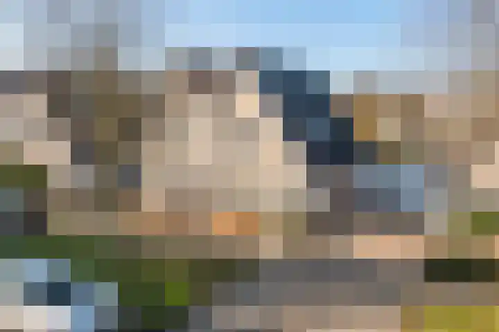 Dijkmanzoet 11 Tiel thumbnail 43