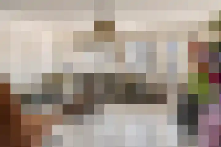 Dijkmanzoet 11 Tiel thumbnail 5