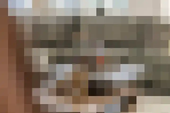 Dijkmanzoet 11 Tiel thumbnail 7
