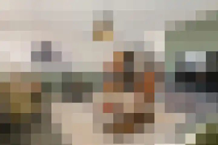 Dijkmanzoet 11 Tiel thumbnail 8