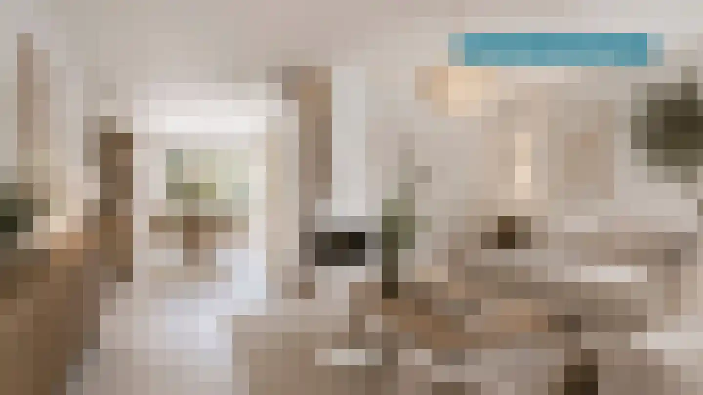 Dijkmanzoet 3 Tiel thumbnail 10