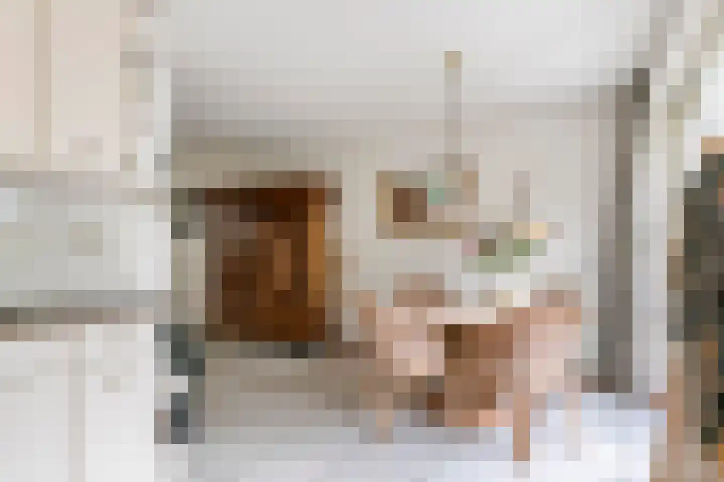 Dijkmanzoet 3 Tiel thumbnail 18