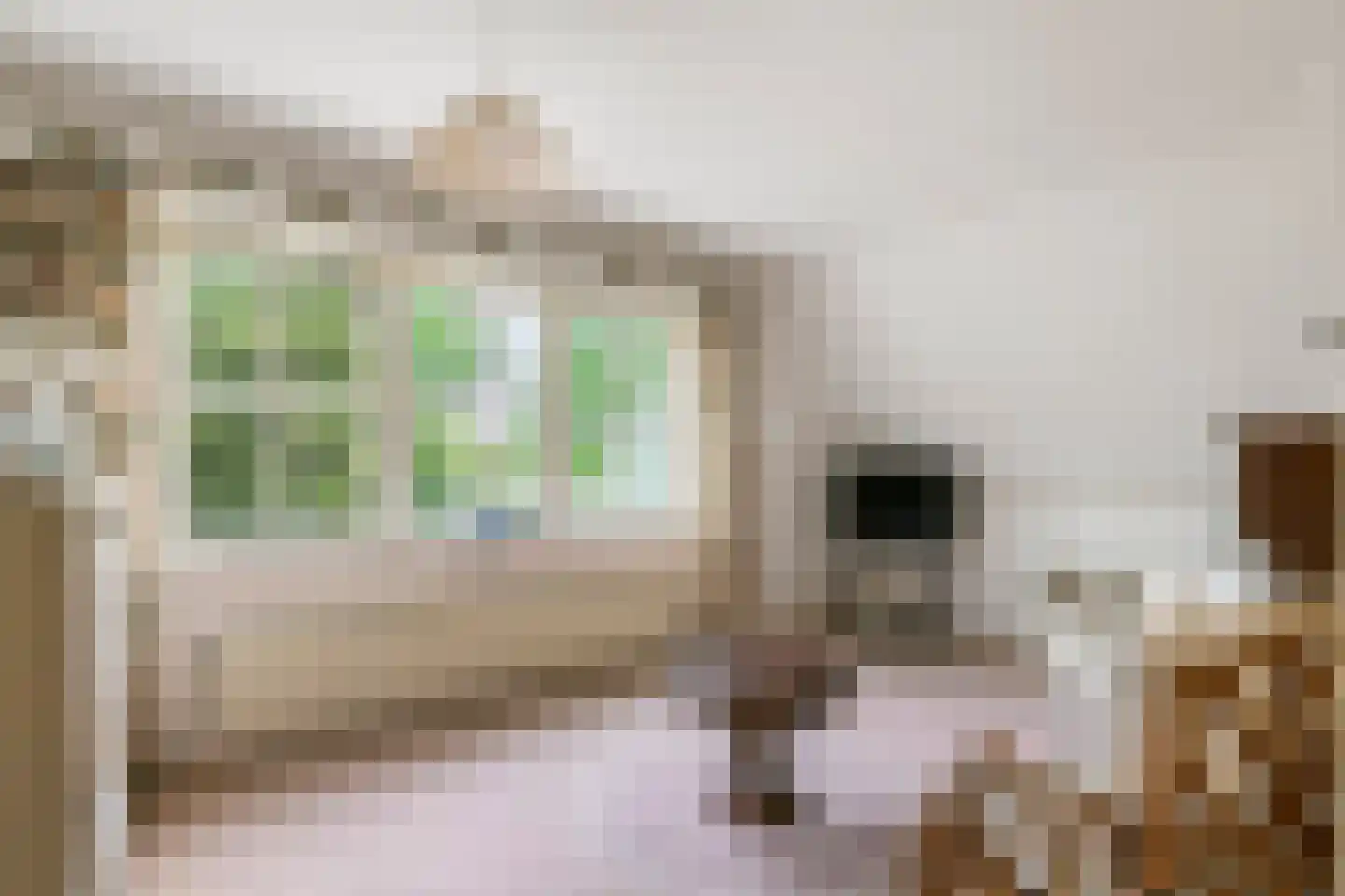 Dijkmanzoet 3 Tiel thumbnail 22