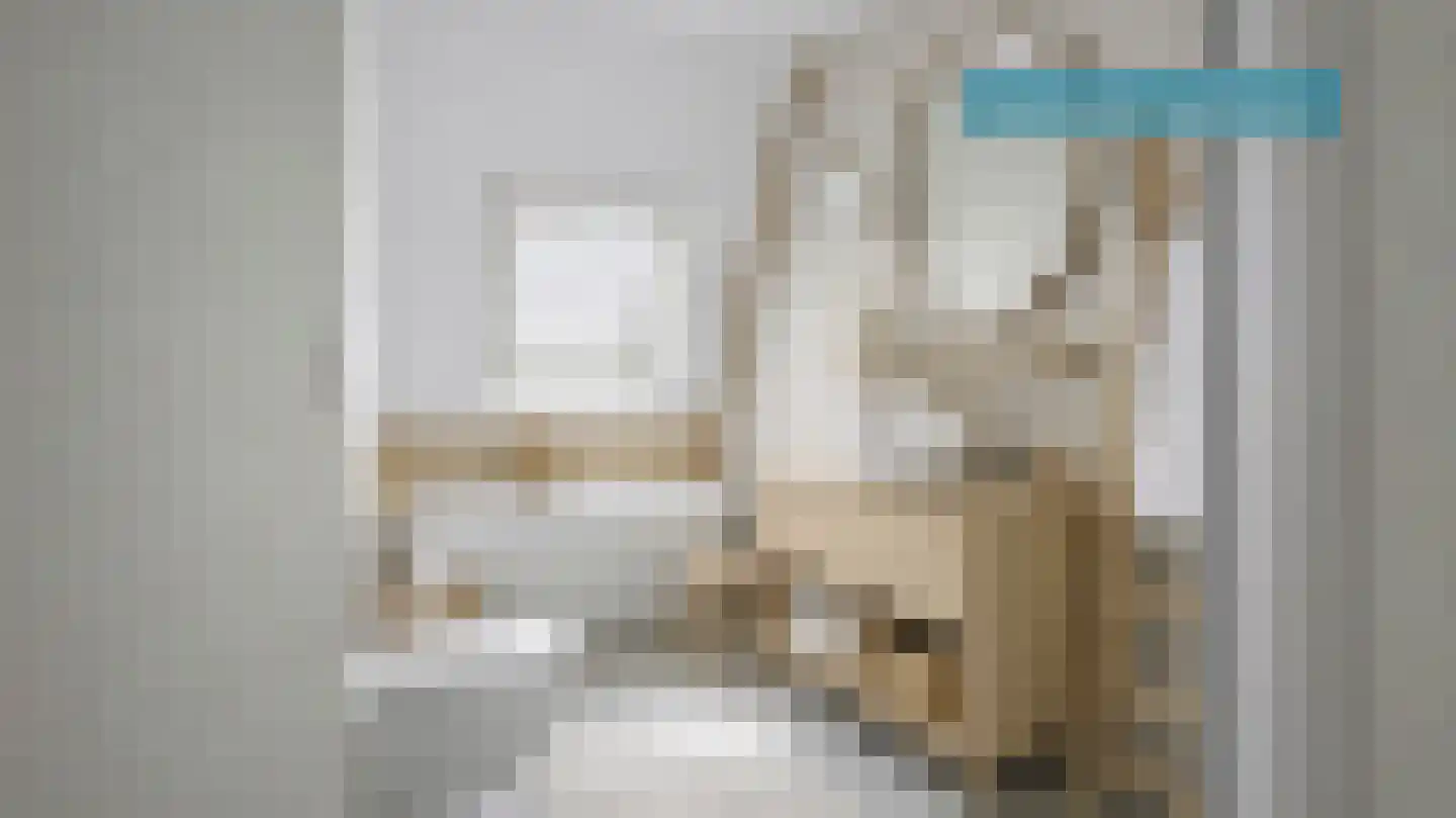 Dijkmanzoet 3 Tiel thumbnail 28
