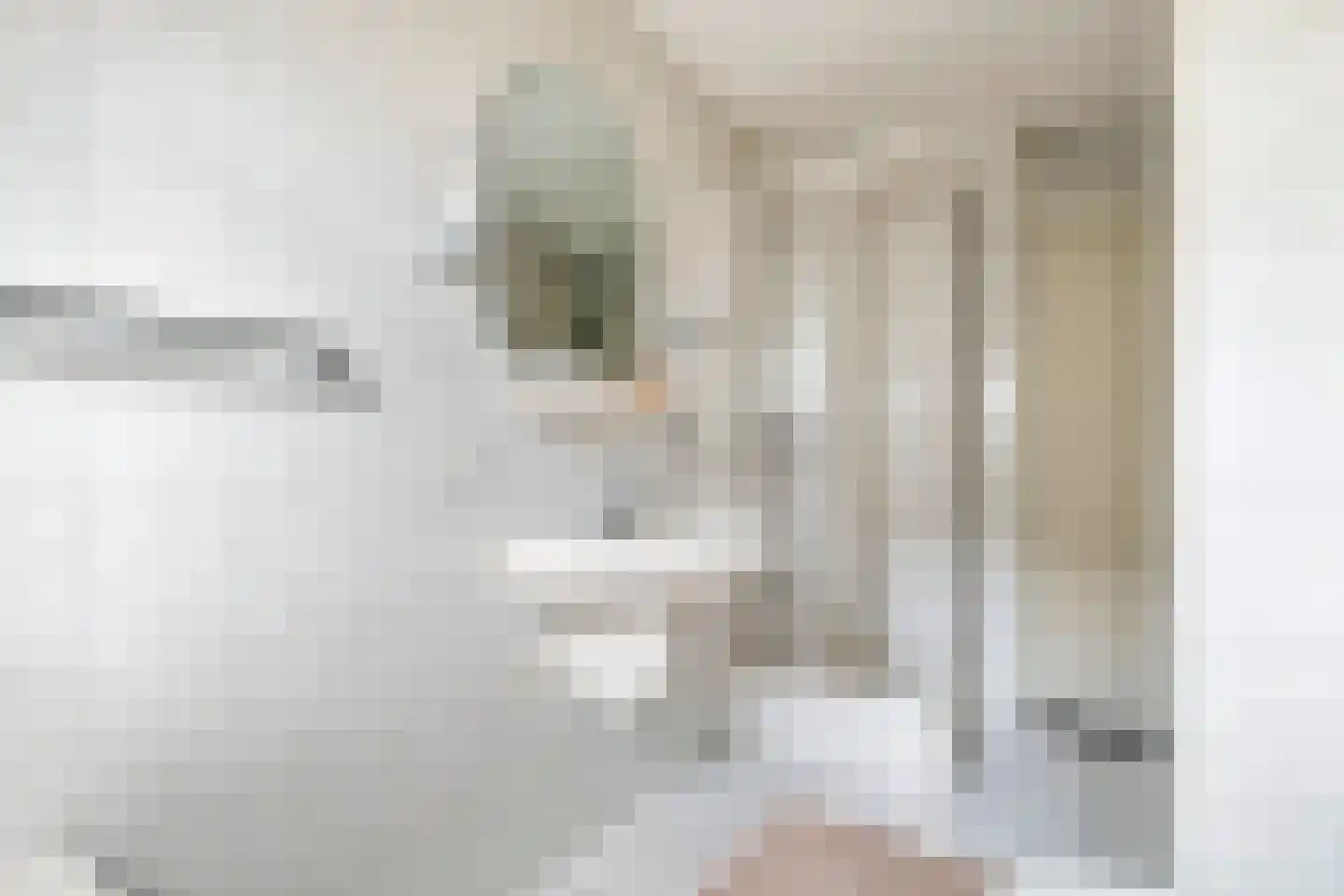 Dijkmanzoet 3 Tiel thumbnail 30