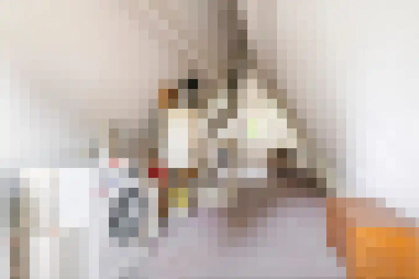 Dijkmanzoet 3 Tiel thumbnail 34