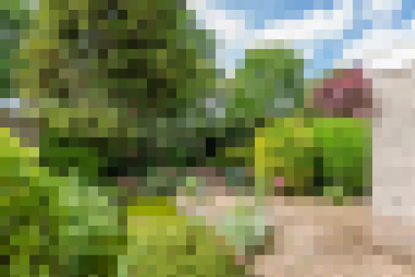 Dijkmanzoet 3 Tiel thumbnail 36