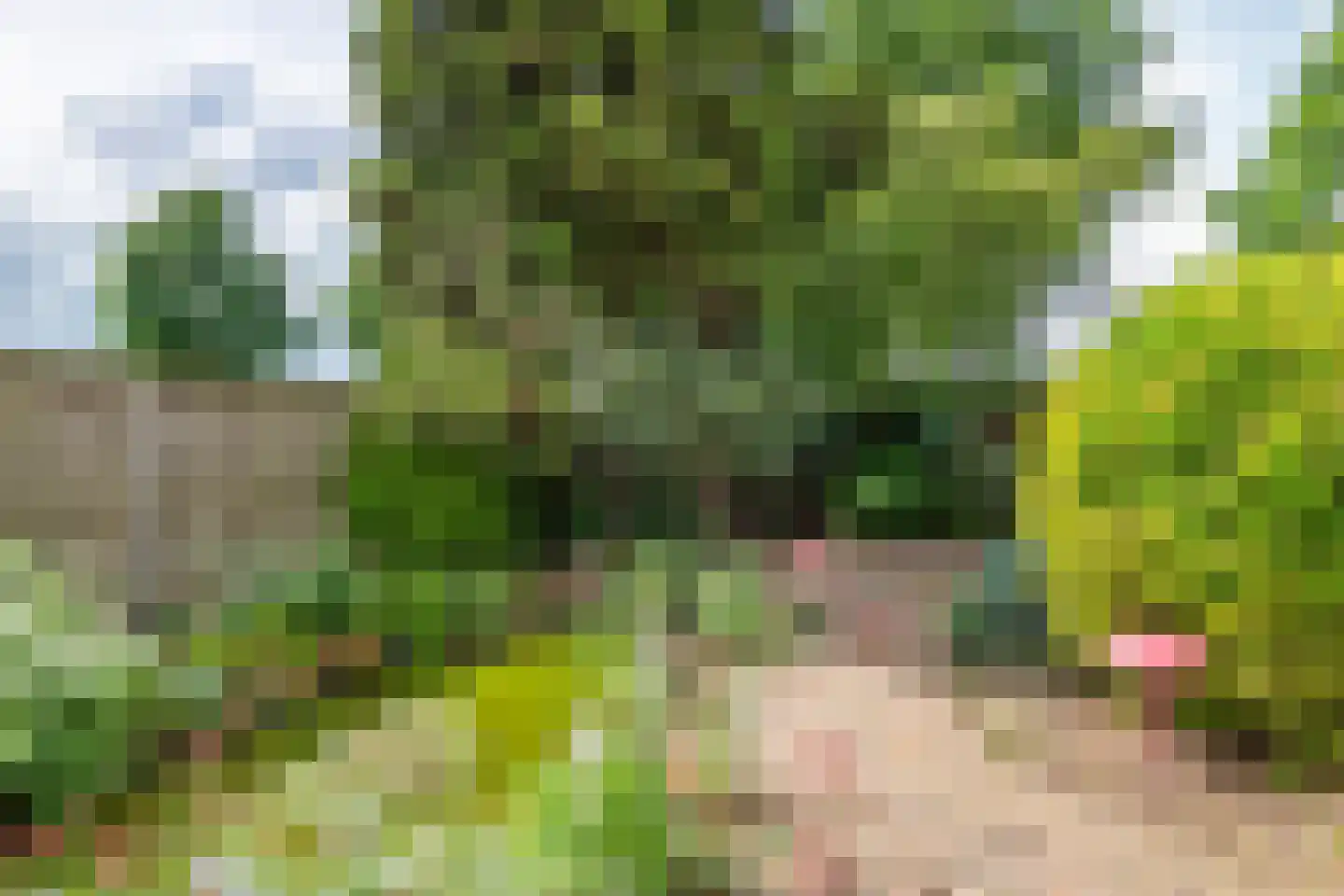 Dijkmanzoet 3 Tiel thumbnail 37