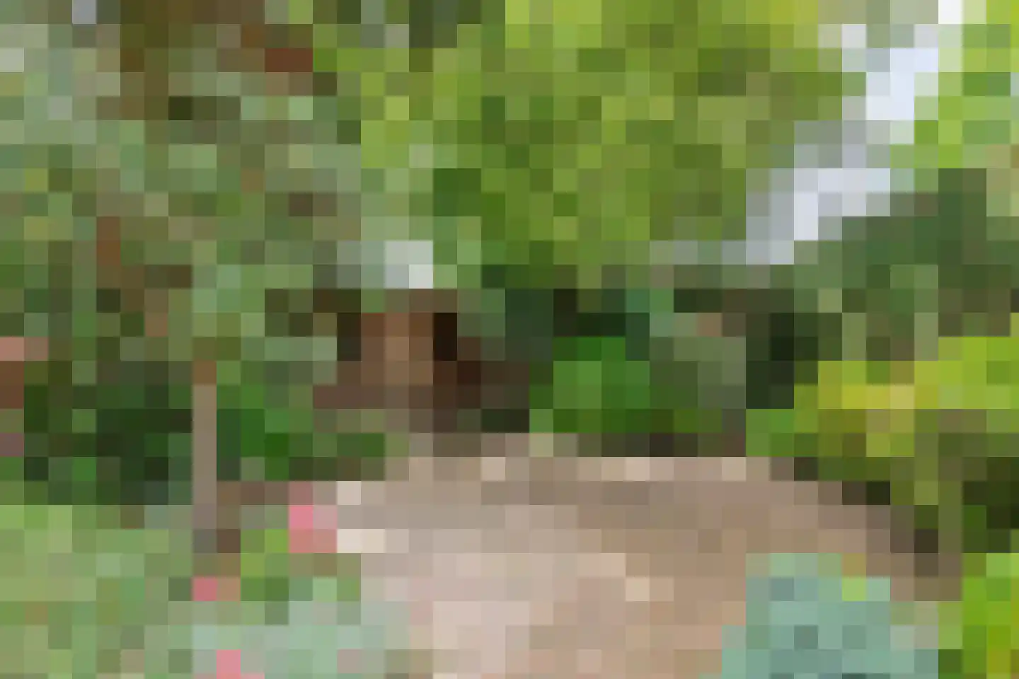 Dijkmanzoet 3 Tiel thumbnail 38