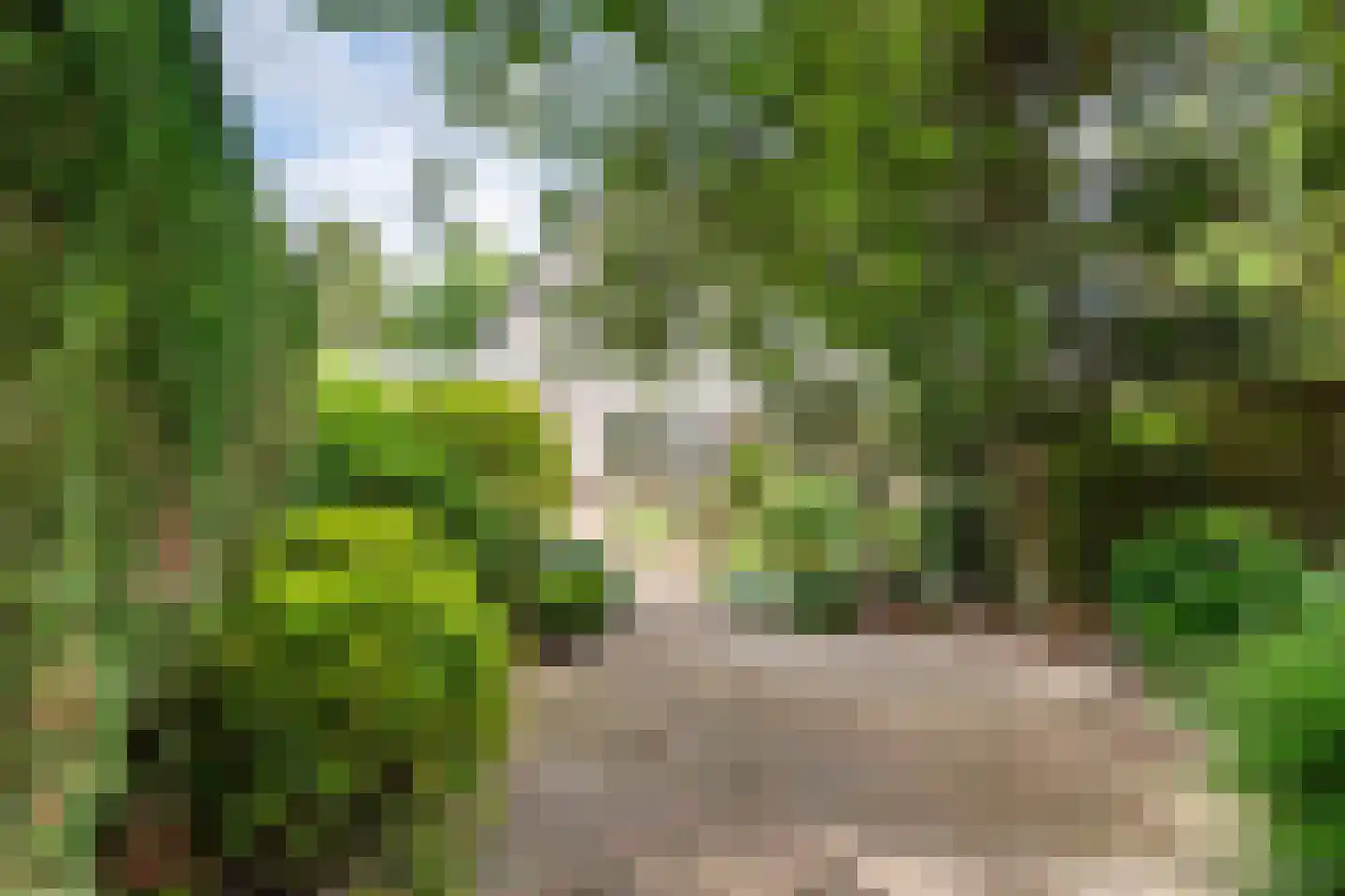 Dijkmanzoet 3 Tiel thumbnail 39