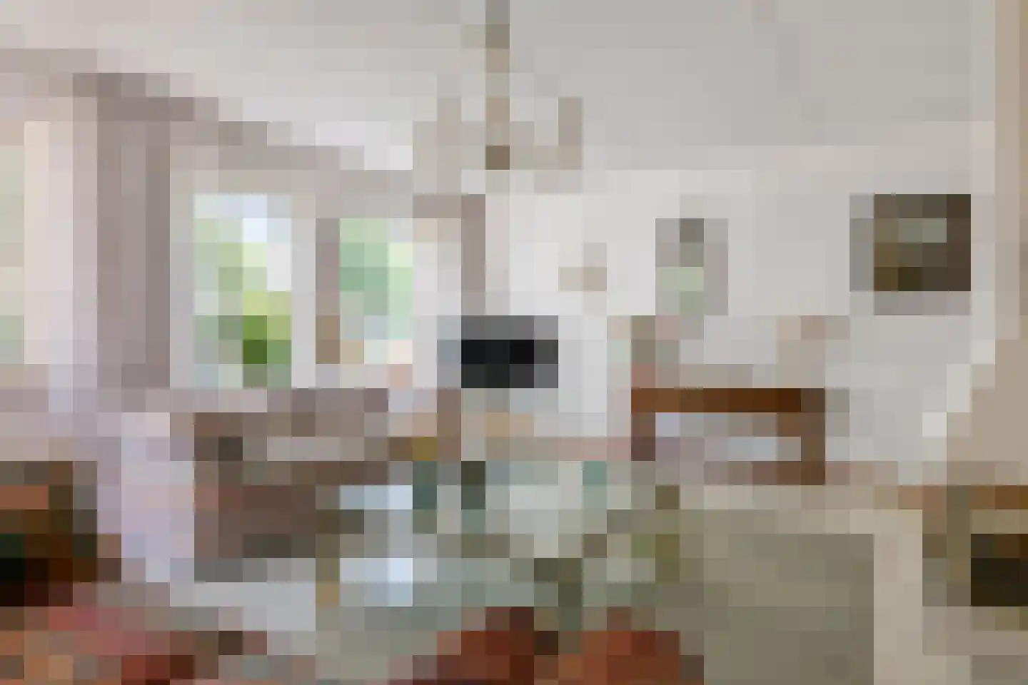 Dijkmanzoet 3 Tiel thumbnail 8