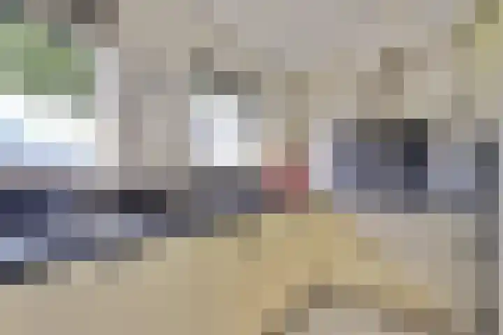 Dijkmanzoet 59 Tiel thumbnail 10