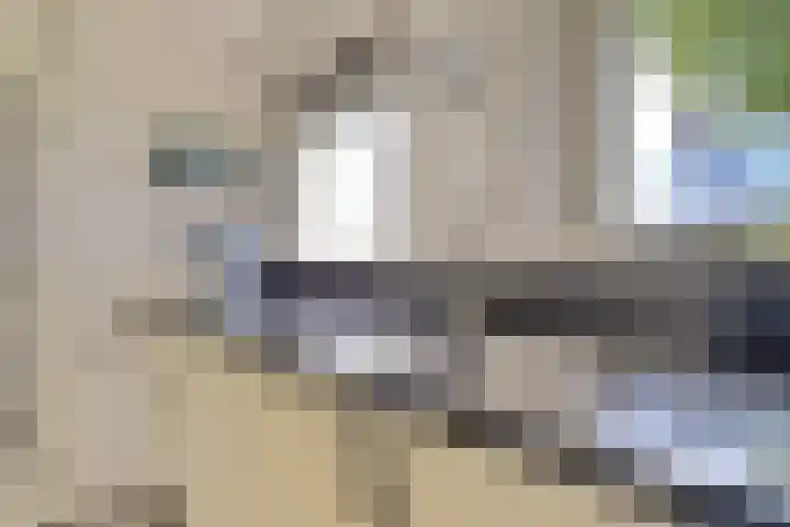 Dijkmanzoet 59 Tiel thumbnail 13