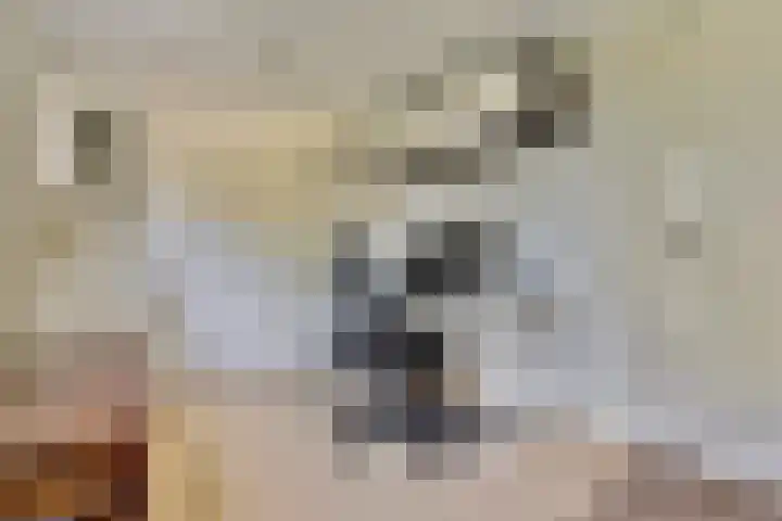 Dijkmanzoet 59 Tiel thumbnail 16