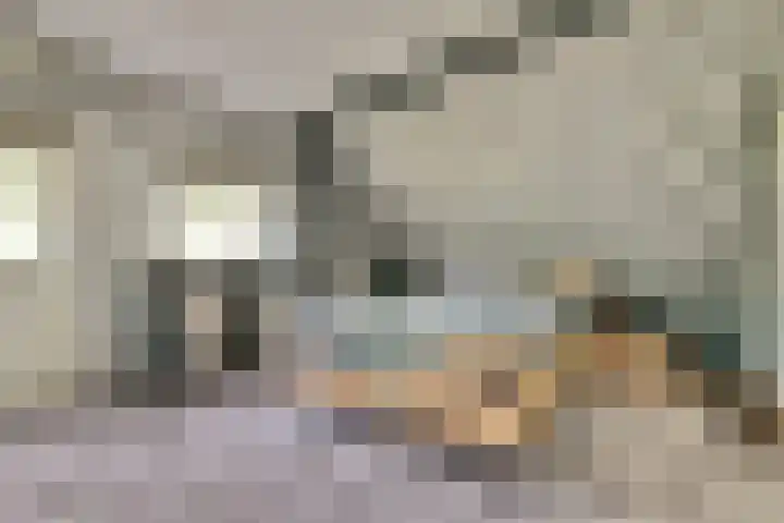 Dijkmanzoet 59 Tiel thumbnail 17