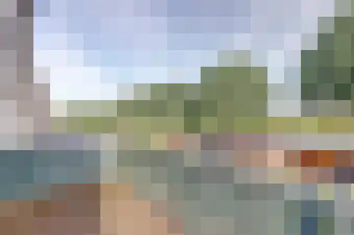Dijkmanzoet 59 Tiel thumbnail 19