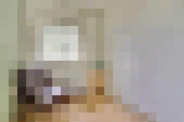 Dijkmanzoet 59 Tiel thumbnail 20