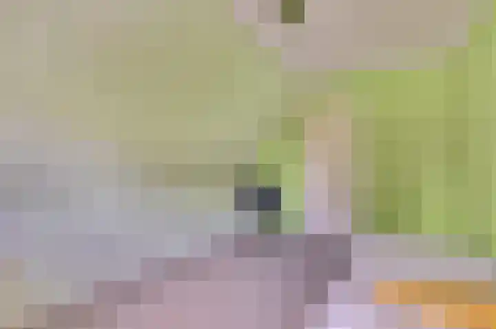 Dijkmanzoet 59 Tiel thumbnail 21