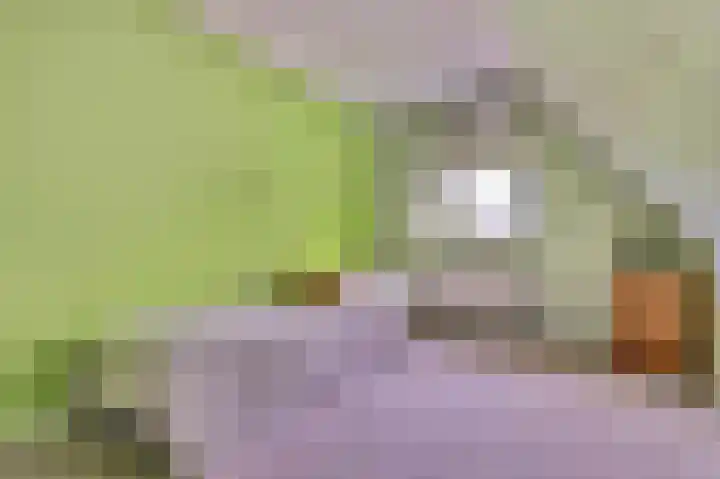 Dijkmanzoet 59 Tiel thumbnail 22