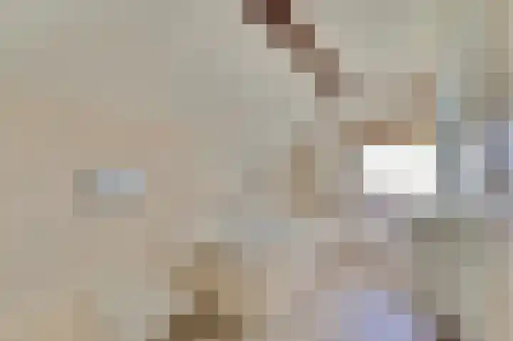 Dijkmanzoet 59 Tiel thumbnail 23