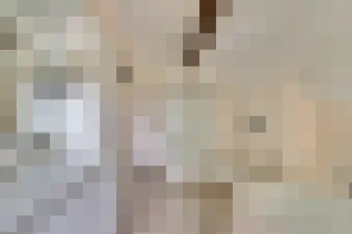 Dijkmanzoet 59 Tiel thumbnail 24