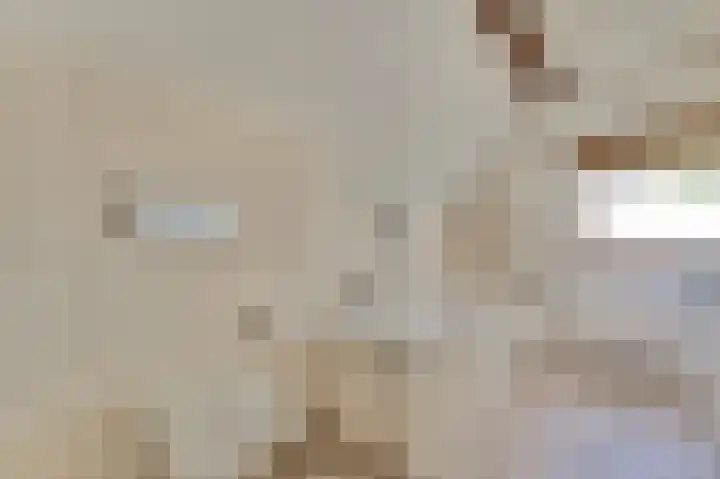 Dijkmanzoet 59 Tiel thumbnail 25