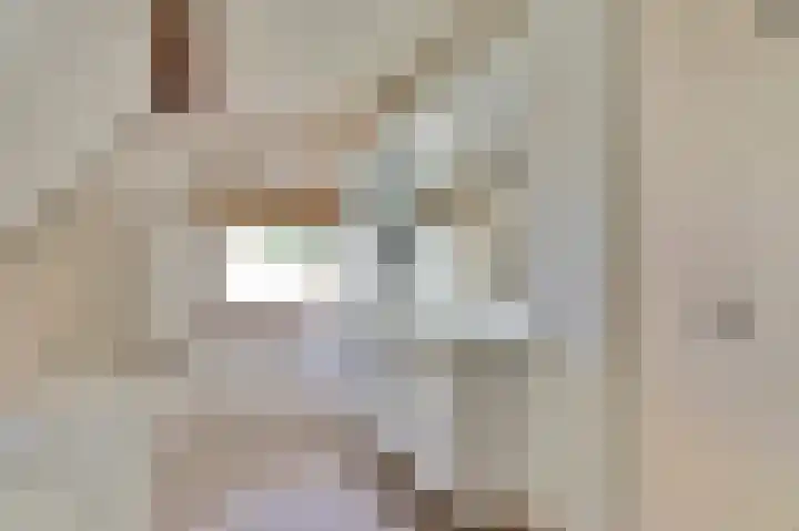 Dijkmanzoet 59 Tiel thumbnail 26