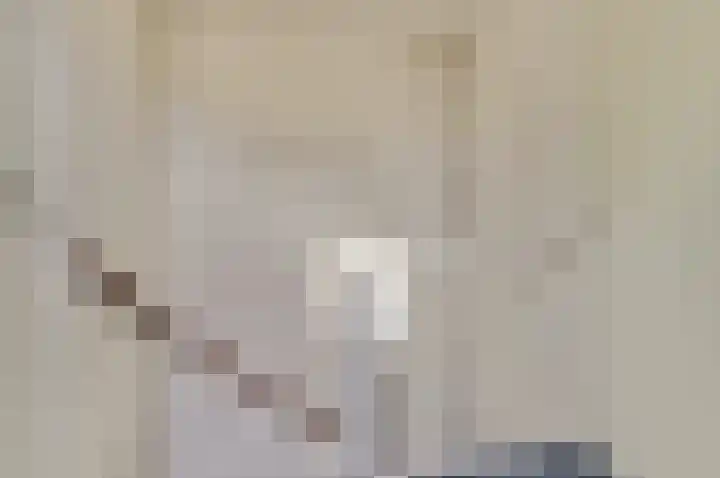 Dijkmanzoet 59 Tiel thumbnail 27
