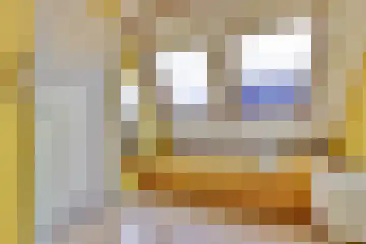 Dijkmanzoet 59 Tiel thumbnail 29