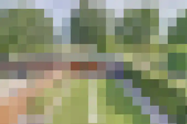 Dijkmanzoet 59 Tiel thumbnail 32