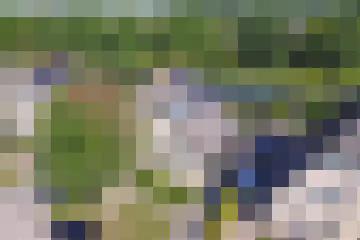 Dijkmanzoet 59 Tiel thumbnail 34