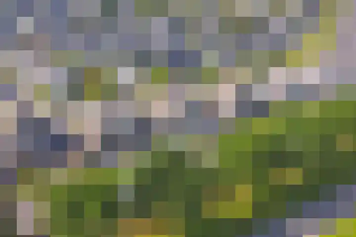 Dijkmanzoet 59 Tiel thumbnail 37