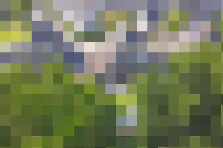 Dijkmanzoet 59 Tiel thumbnail 39