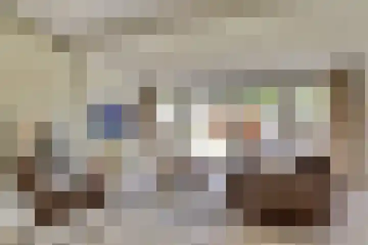 Dijkmanzoet 59 Tiel thumbnail 4