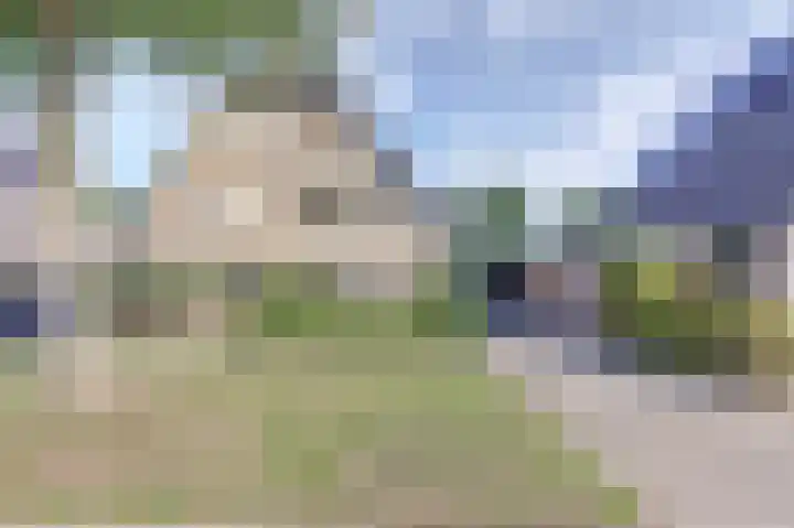 Dijkmanzoet 59 Tiel thumbnail 40