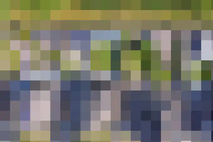 Dijkmanzoet 59 Tiel thumbnail 41
