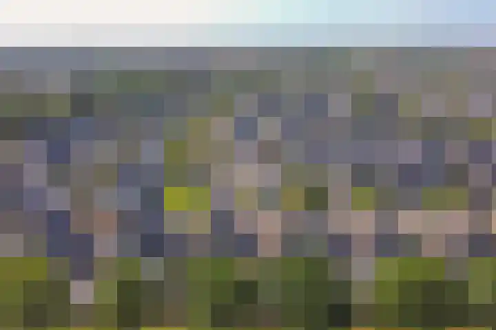 Dijkmanzoet 59 Tiel thumbnail 42