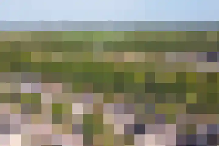 Dijkmanzoet 59 Tiel thumbnail 43