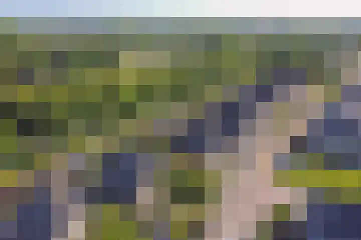 Dijkmanzoet 59 Tiel thumbnail 44