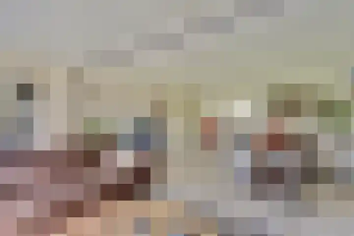 Dijkmanzoet 59 Tiel thumbnail 6