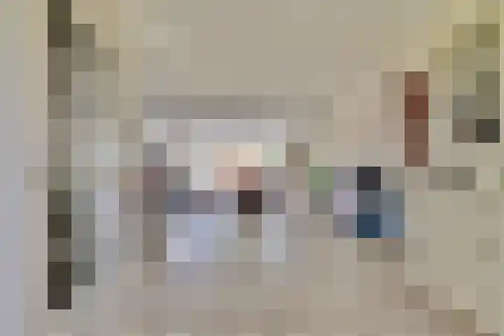Dijkmanzoet 59 Tiel thumbnail 9