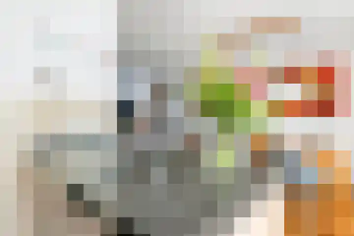 Dijkmanzoet 70 Tiel thumbnail 13