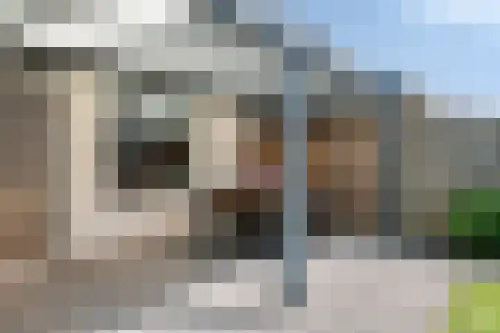 Dijkmanzoet 70 Tiel thumbnail 31