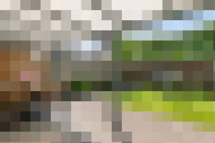 Dijkmanzoet 70 Tiel thumbnail 32