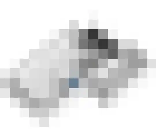 Dijkmanzoet 70 Tiel thumbnail 35