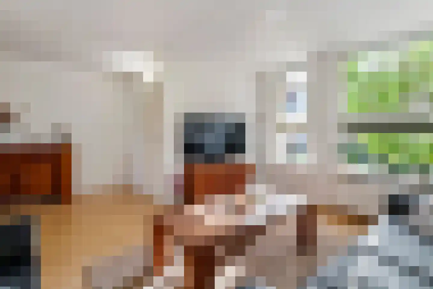 Dijkmanzoet 71 Tiel thumbnail 10