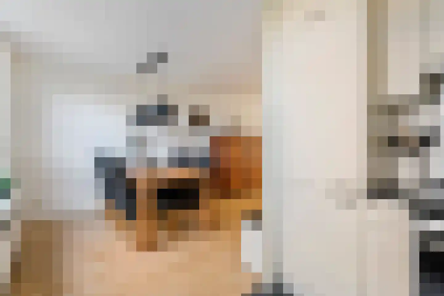 Dijkmanzoet 71 Tiel thumbnail 12