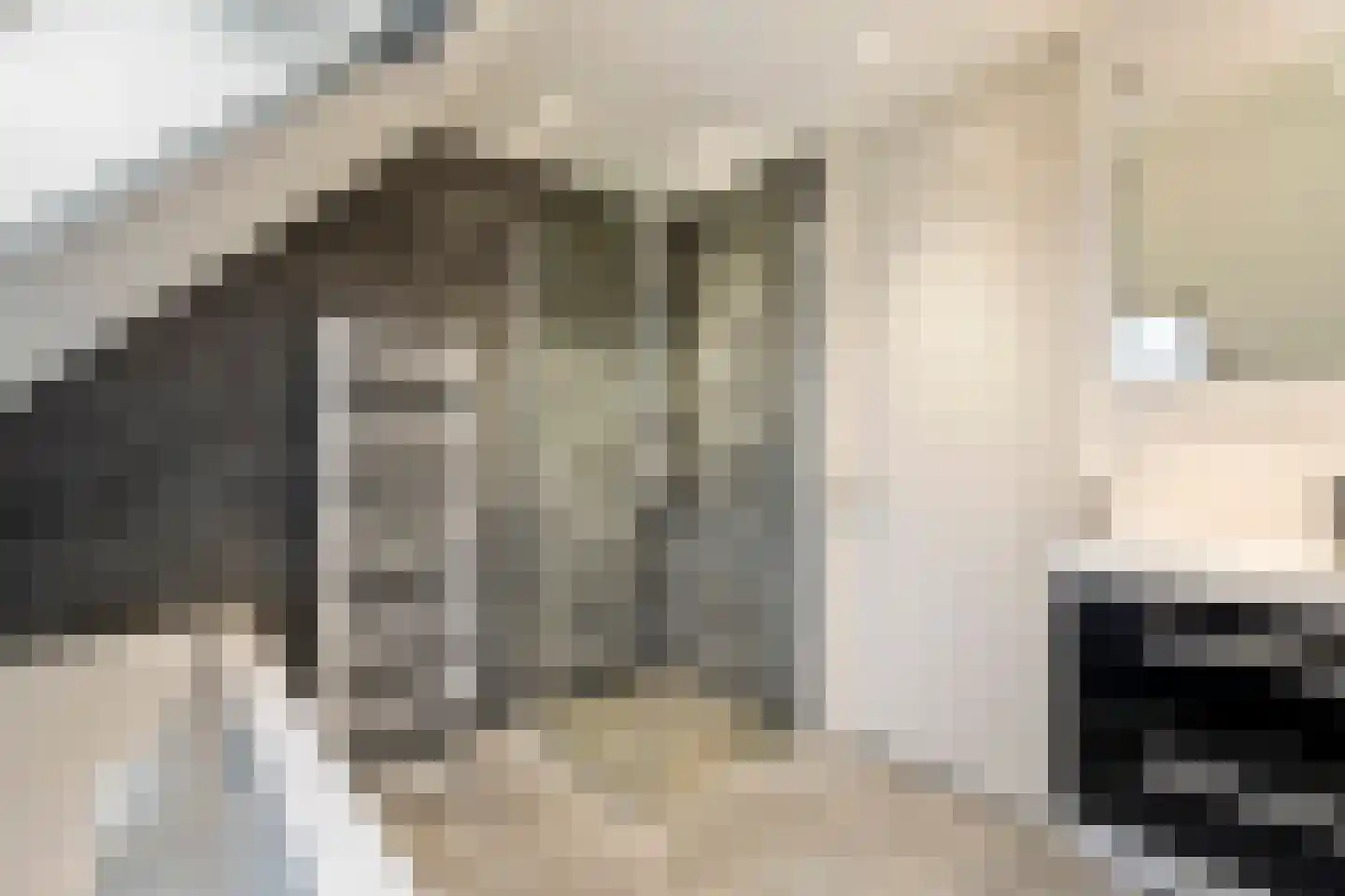 Dijkmanzoet 71 Tiel thumbnail 18