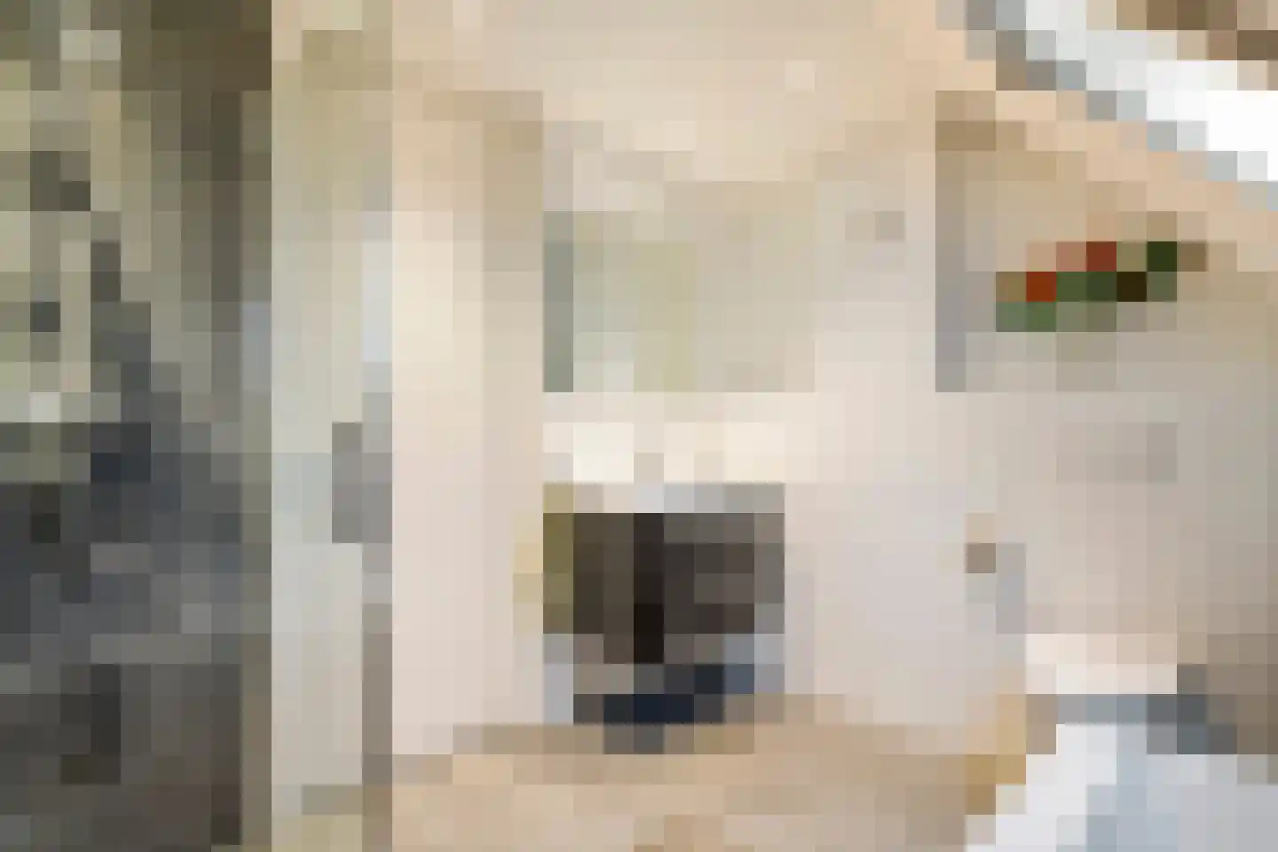 Dijkmanzoet 71 Tiel thumbnail 19