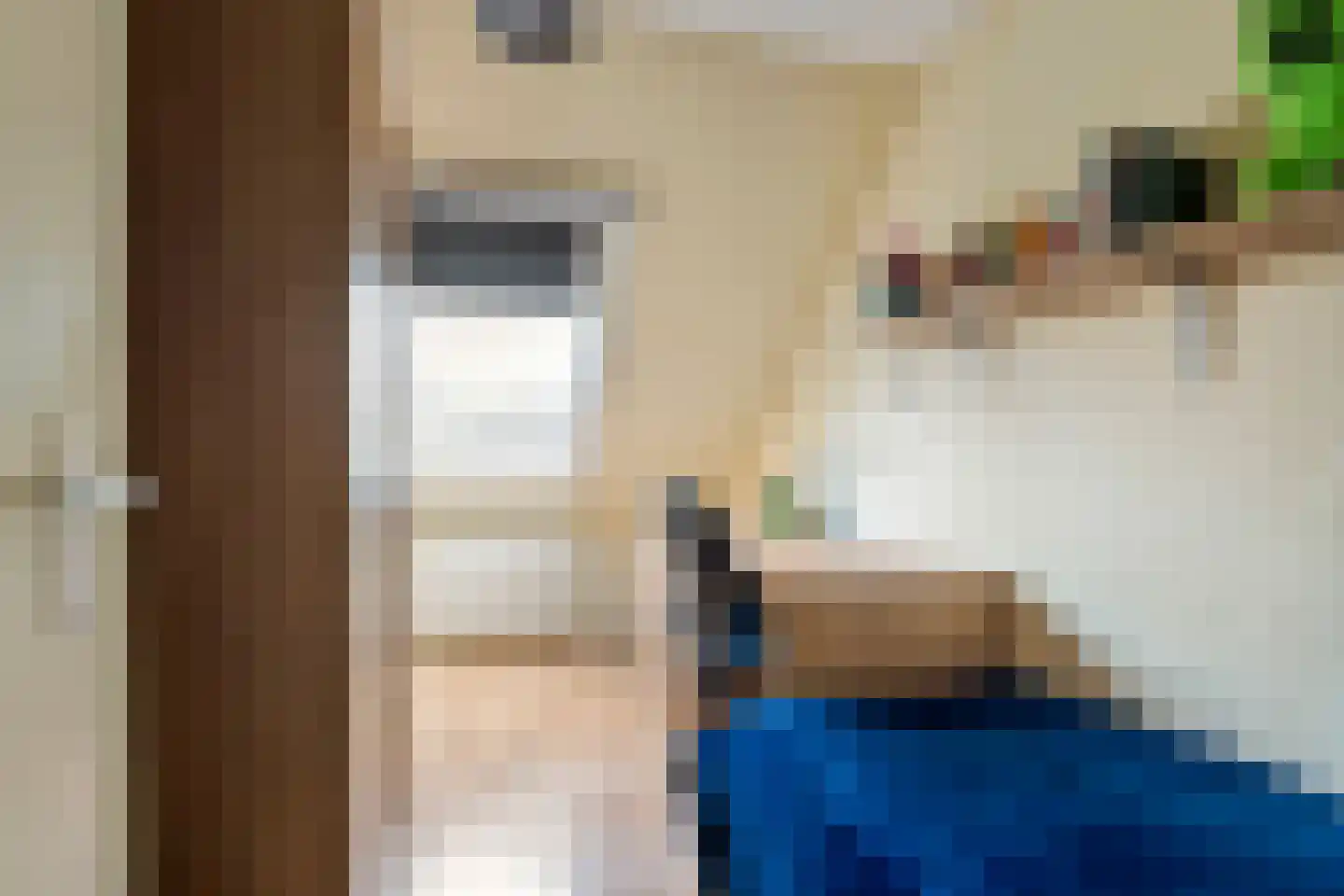 Dijkmanzoet 71 Tiel thumbnail 25
